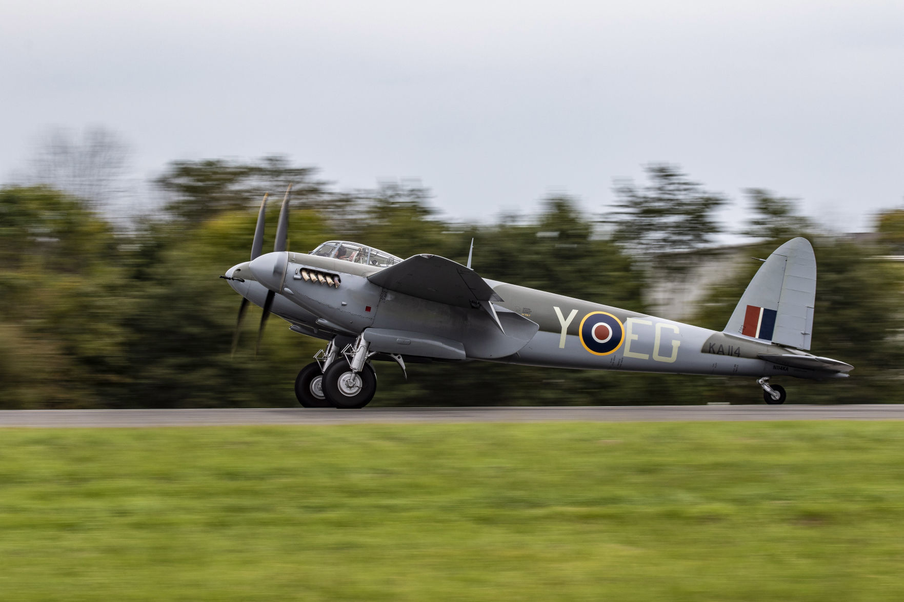 AOD Saturday Mosquito